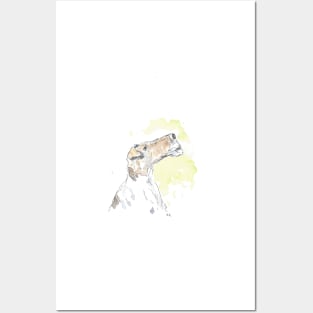Wire Haired Fox Terrier portrait. Posters and Art